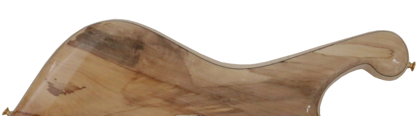 SPALTED MAPLE - high gloss finish