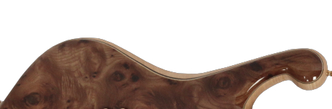 BURL ELM - high gloss finish