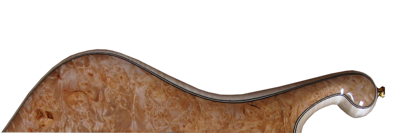 BURL MAPLE - high gloss finish