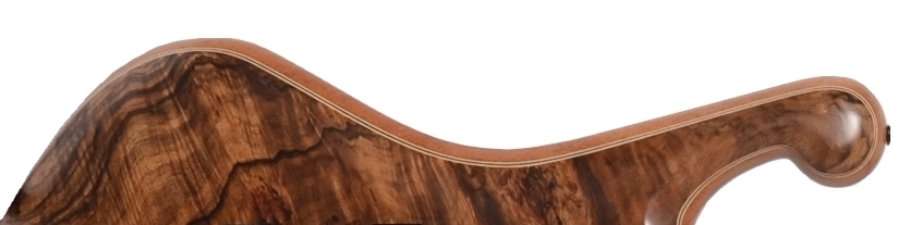 BURL WALNUT - satin finish