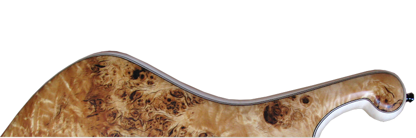 EYE POPLAR - high gloss finish